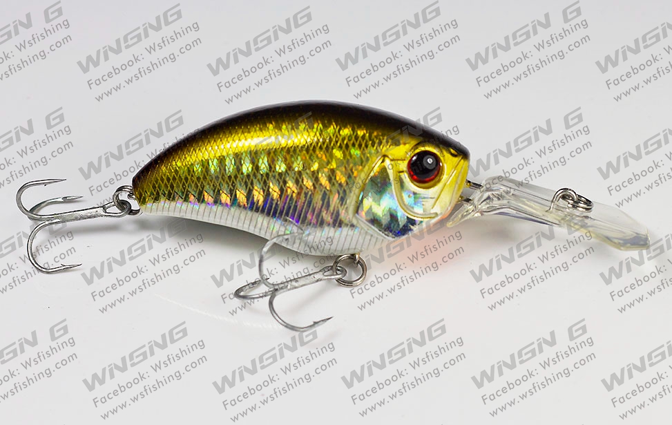 Color of AC041 1 - Hard Baits