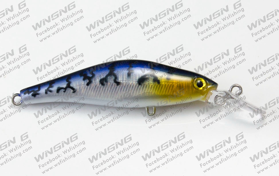Color of AM049 1 - Hard Baits