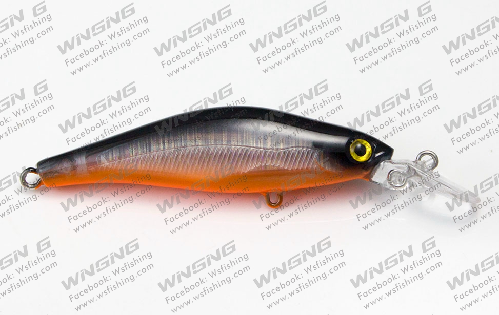 Color of AM049 2 - Hard Baits